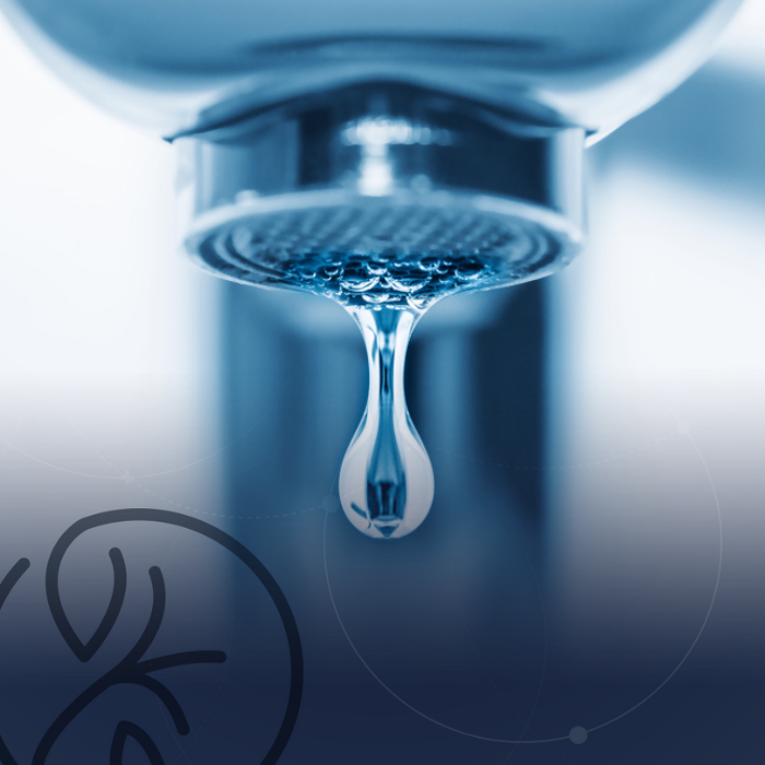 Incontinência Urinária