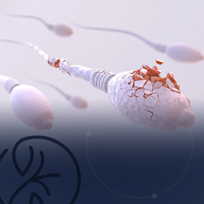 Saúde Sexual e Reprodutora